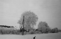 Село Роптанка. 1996 год