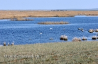 Озеро Жетыколь. Май 2012 года