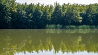 Озеро Буранное. Август 2021 года