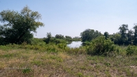 Озеро Жеребьево (Жеребцово). Август 2021 года