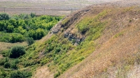 Гора Змеиная (Ханская гора, Могила хана, Михайловская гора). Август 2021 года