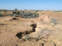 Гора Полковник. Август 2010 года