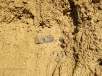 Гора Полковник. Август 2010 года