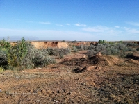 Гора Полковник. Август 2010 года