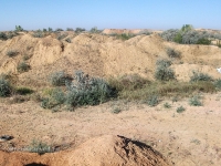 Гора Полковник. Август 2010 года