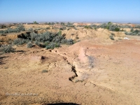 Гора Полковник. Август 2010 года