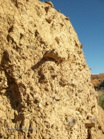 Гора Полковник. Август 2010 года