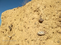 Гора Полковник. Август 2010 года