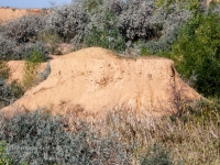 Гора Полковник. Август 2010 года