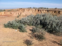 Гора Полковник. Август 2010 года