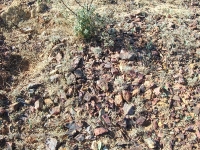 Гора Полковник. Август 2010 года