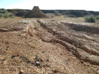 Гора Полковник. Август 2010 года