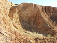 Гора Полковник. Август 2010 года