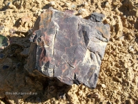 Гора Полковник. Август 2010 года