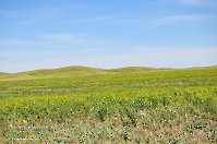 Горы Кармен. Май 2013 года