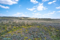 Гирьяльский хребет. Апрель 2025 года