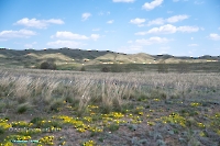 Гирьяльский хребет. Апрель 2025 года