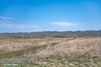 Гирьяльский хребет. Апрель 2025 года