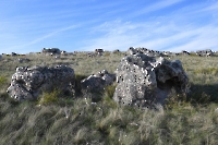 Урочище Каменные Овцы