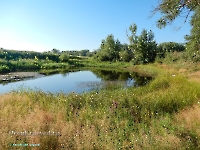 Озеро Круглое в пойме Урала. Август 2023 года