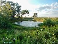 Озеро Круглое в пойме Урала. Август 2023 года