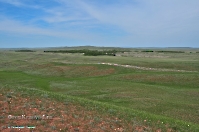 Кзыладырское карстовое поле. Май 2013 года