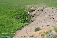 Кзыладырское карстовое поле. Май 2013 года