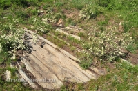 Карагайский бор и ущелье на реке Губерле