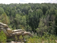 Скала «Черепаха» Карагайский бор и ущелье на реке Губерле