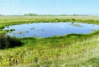 Лапшиновские озера