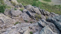 Гора Змеиная (Кумыс-Тюбе). Июнь 2021 года