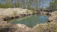 Карагачское родниковое озеро. Май 2018 года