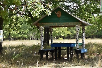 Культуры дуба в Шийлиагаше