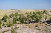 Карабутакский гранитный массив (скалы «Шонкал»)