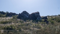 Скалистая гряда «Бронтозавр». Июнь 2019 года