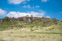 Скалистая гряда «Бронтозавр». Май 2025 года