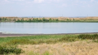 Озеро Купа (Гайнуллинское). Июнь 2021 года
