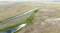 Озеро Щучье. Июль 2022 года