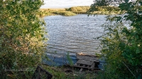 Озеро Мартышкино. Сентябрь 2021 года