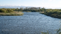 Озеро Мартышкино. Сентябрь 2021 года