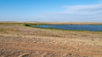 Озеро Большое (Новопотоцкое). Сентябрь 2021 года