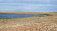 Озеро Большое (Новопотоцкое)