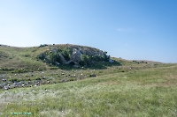 Гора-утес Аккарга. Июнь 2025 года