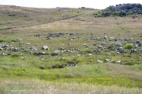 Гора-утес Аккарга. Июнь 2025 года