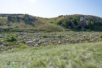 Гора-утес Аккарга. Июнь 2025 года