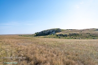 Гора-утес Аккарга. Июнь 2025 года