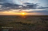 Озеро Шалкар-Ега-Кара. Июнь 2025 года