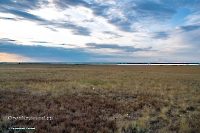 Озеро Шалкар-Ега-Кара. Июнь 2025 года