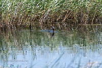 Озеро Карамола. Июнь 2025 года