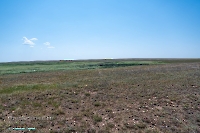 Озеро Карамола. Июнь 2025 года